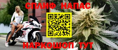 ешки Будённовск