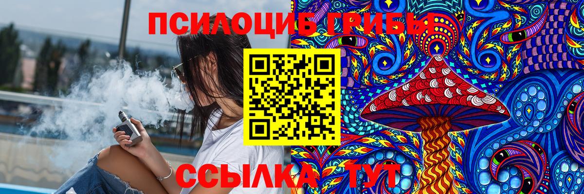 Галлюциногенные грибы прущие грибы Сафоново