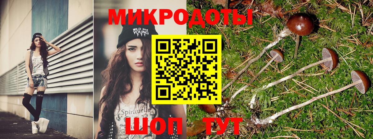Галлюциногенные грибы MAGIC MUSHROOMS  Вход с VPN  Галлюциногенные грибы ЛСД  Сафоново 